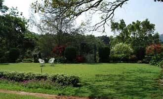 Springdale Estate Stay, Coorg 4